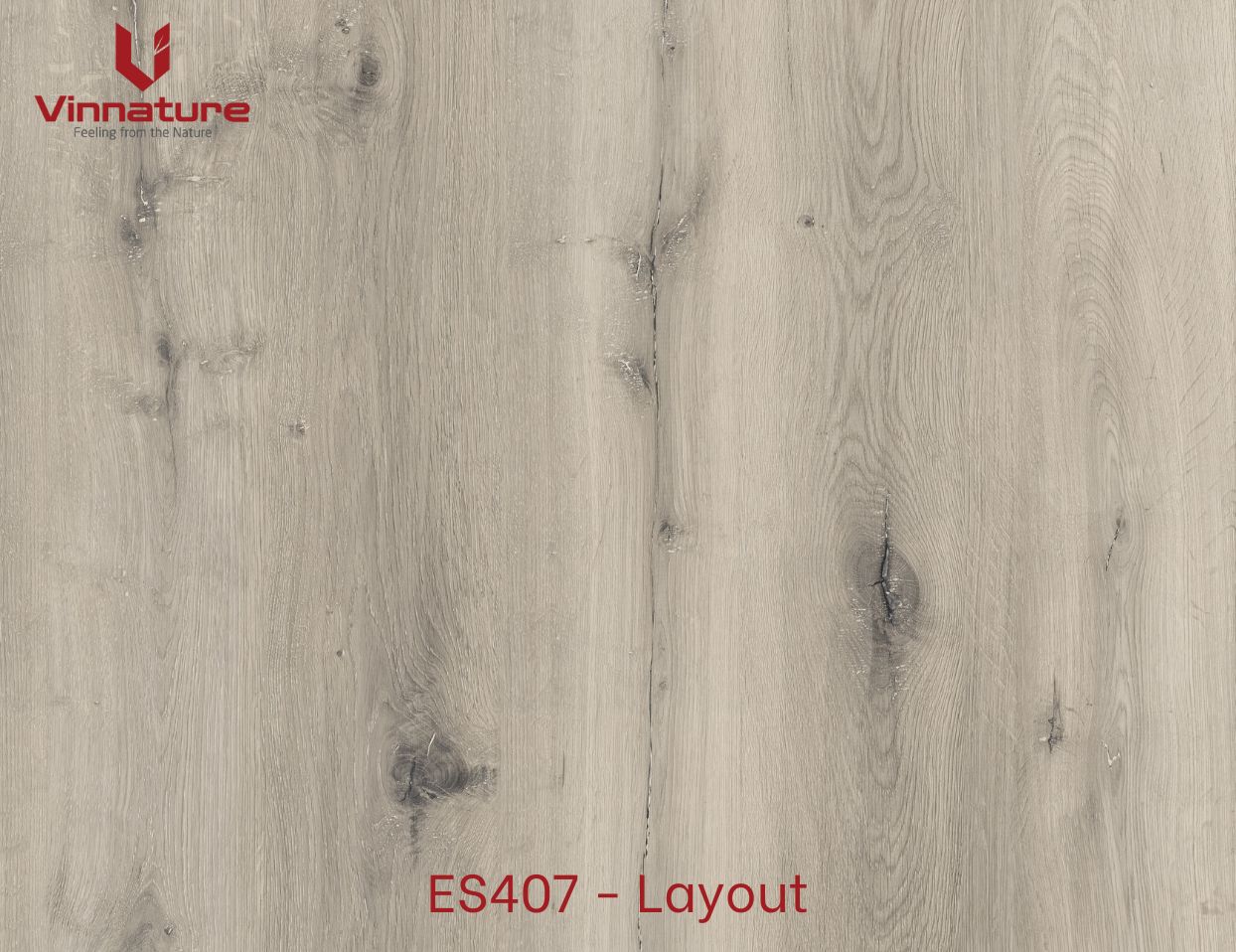 ES407-Layout