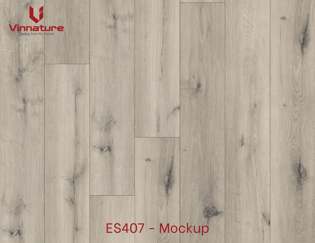 ES407-Mockup