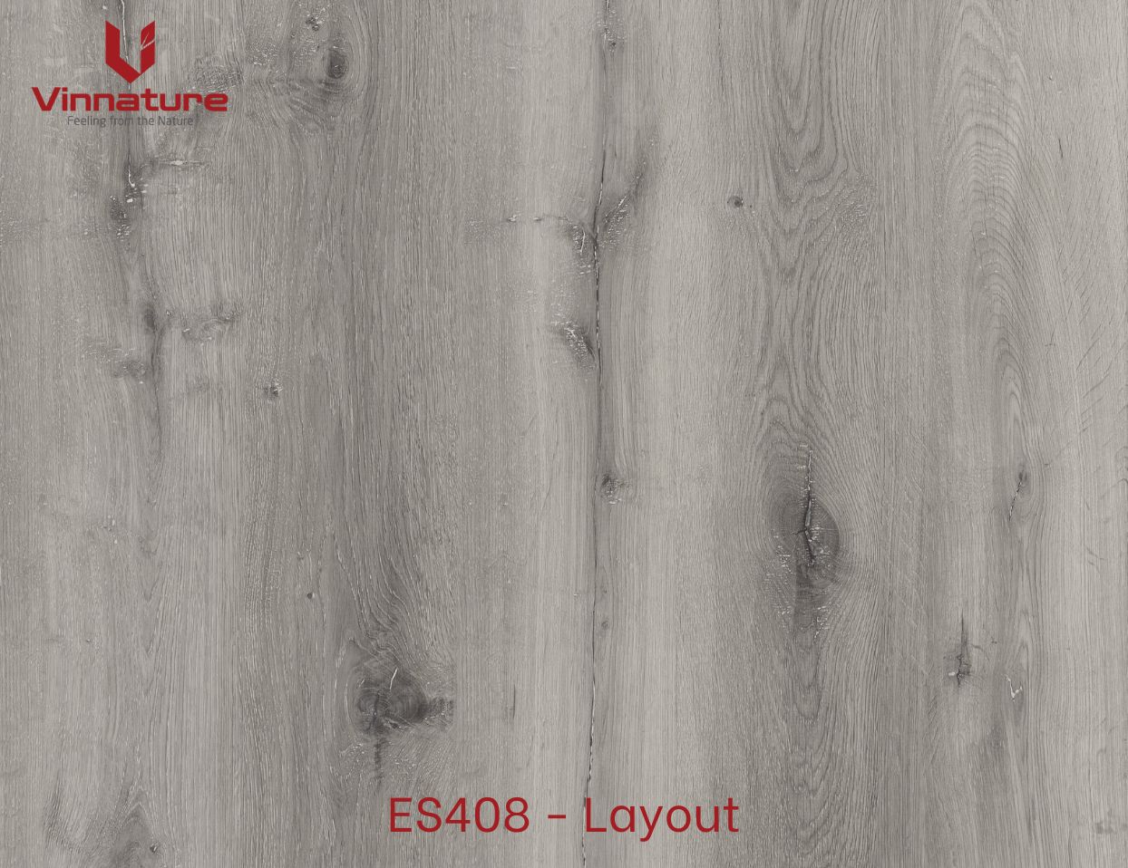 ES408-Layout