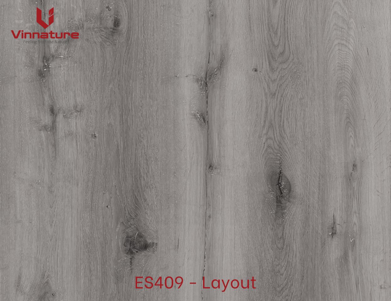 ES409-Layout