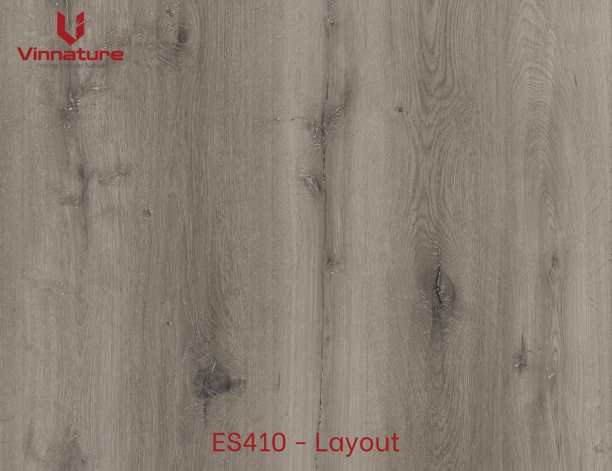ES410-Layout