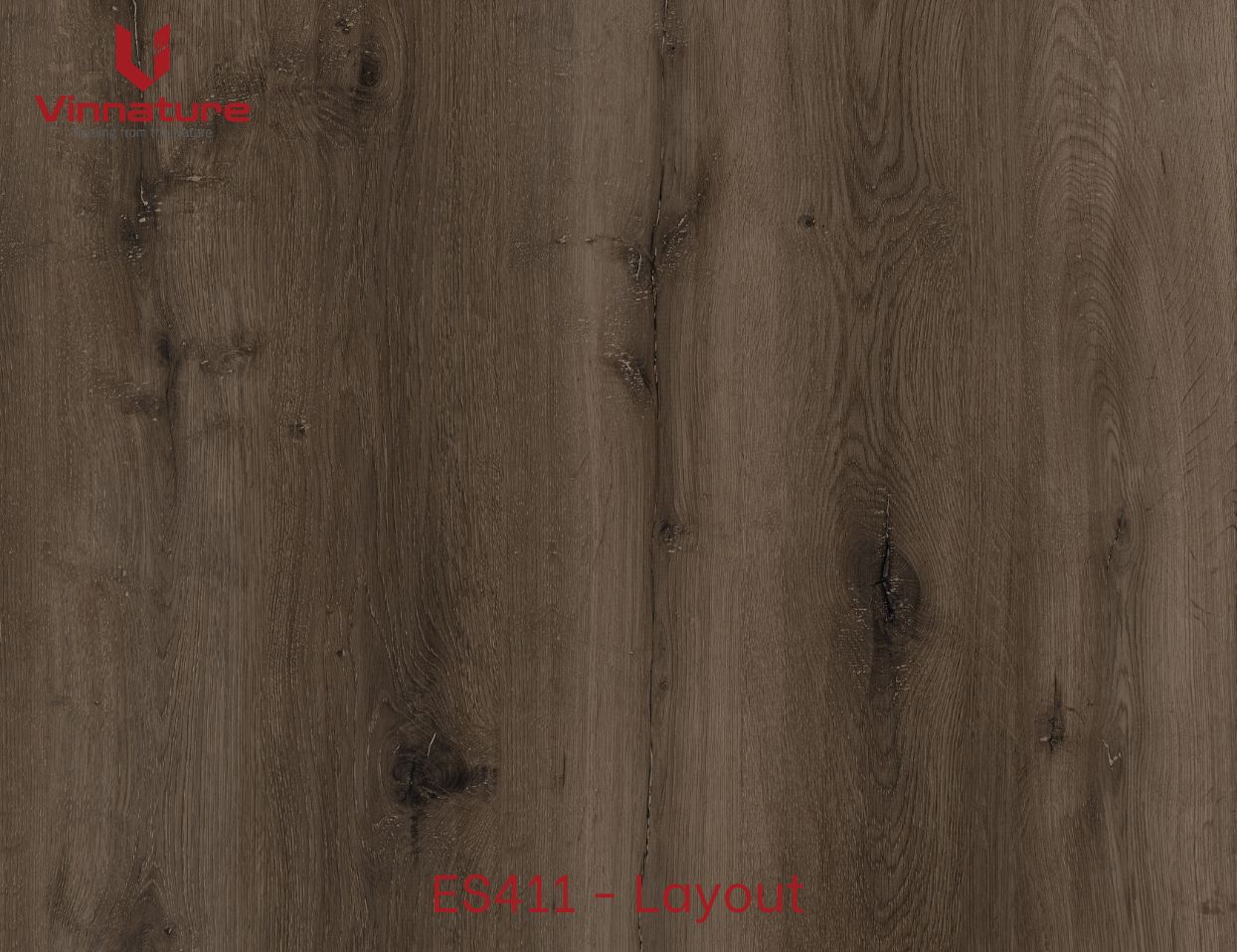 ES411-Layout