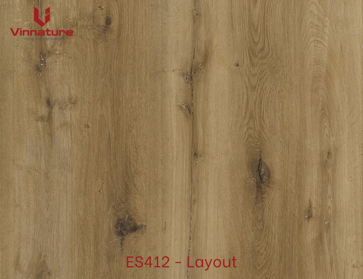 ES412-Layout