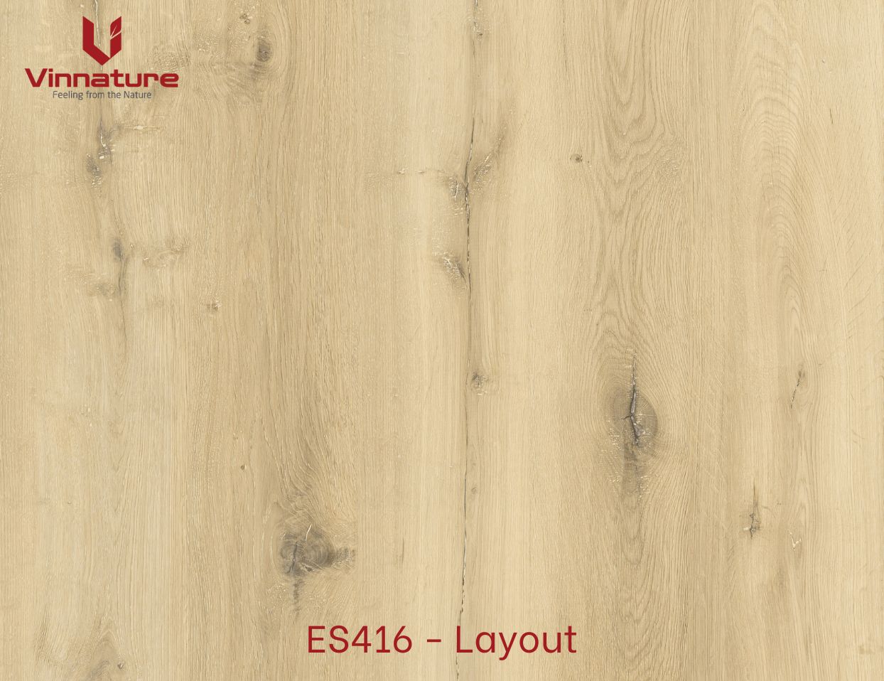 ES416 - Layout