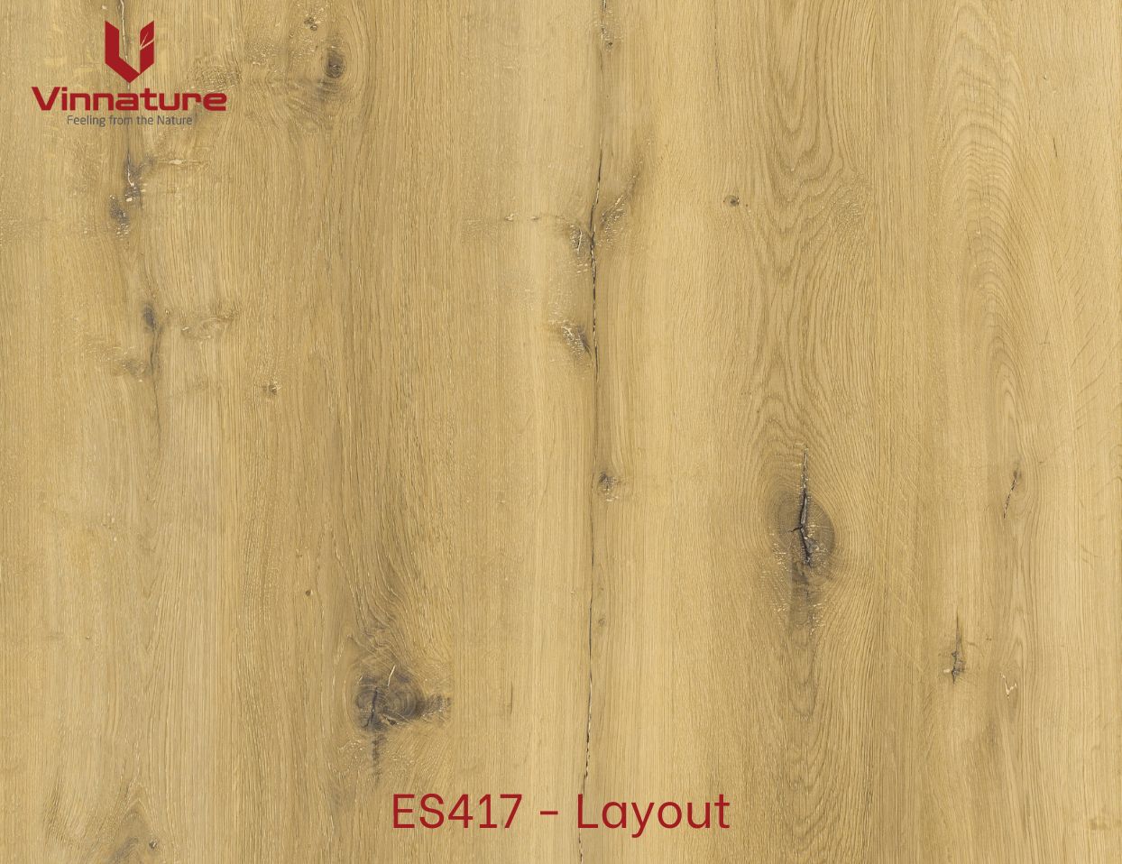 ES417-Layout