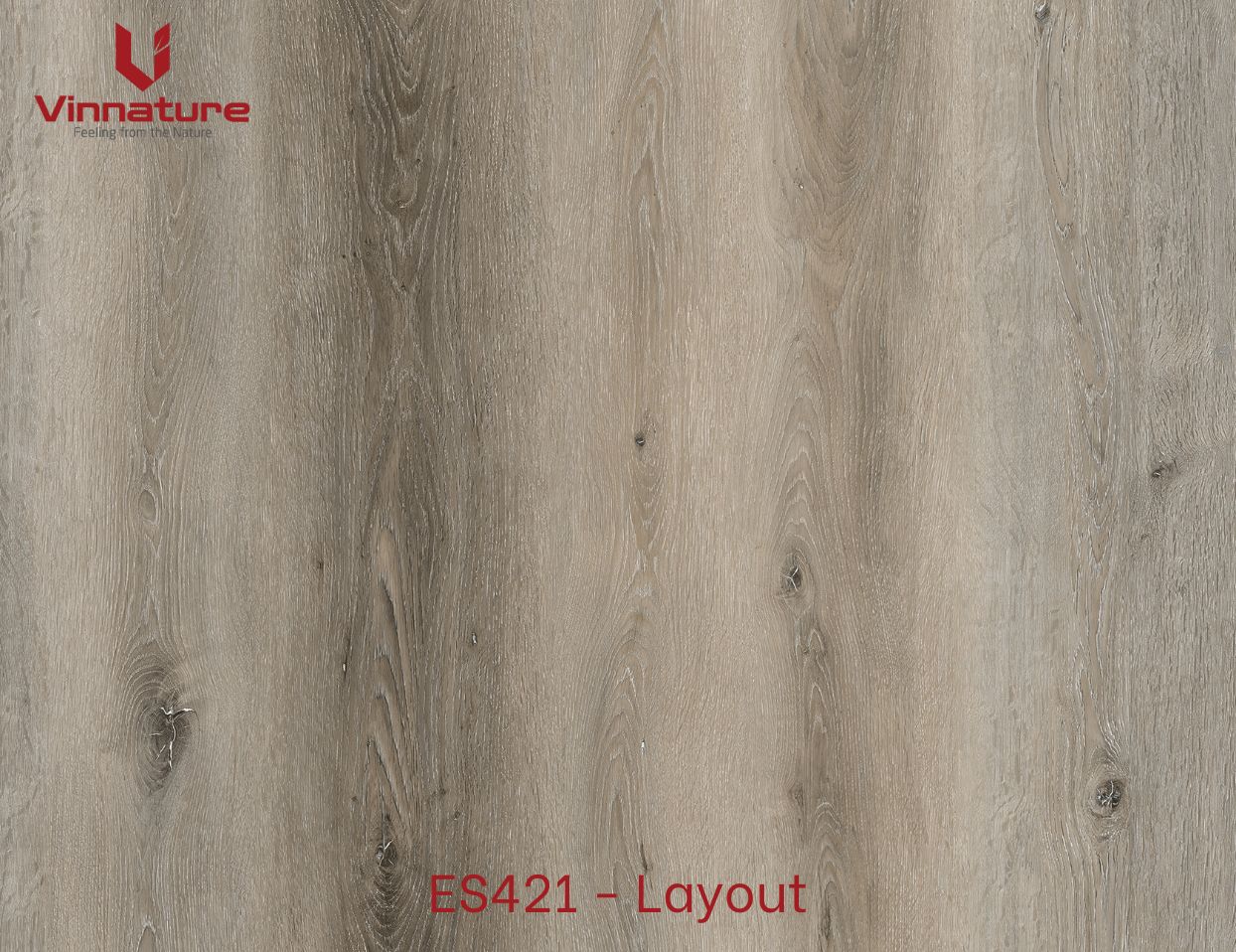 ES421 - Layout