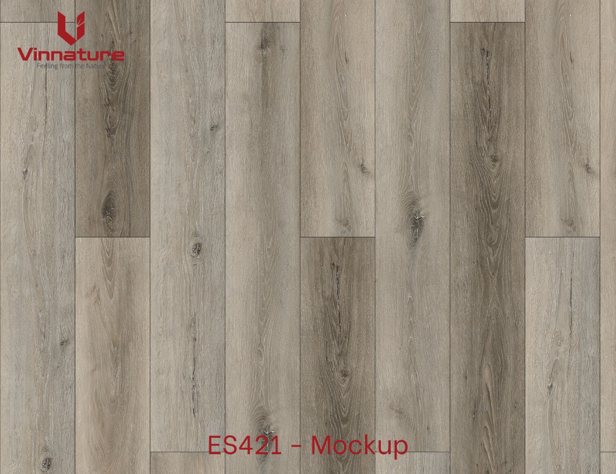 ES421-Mockup