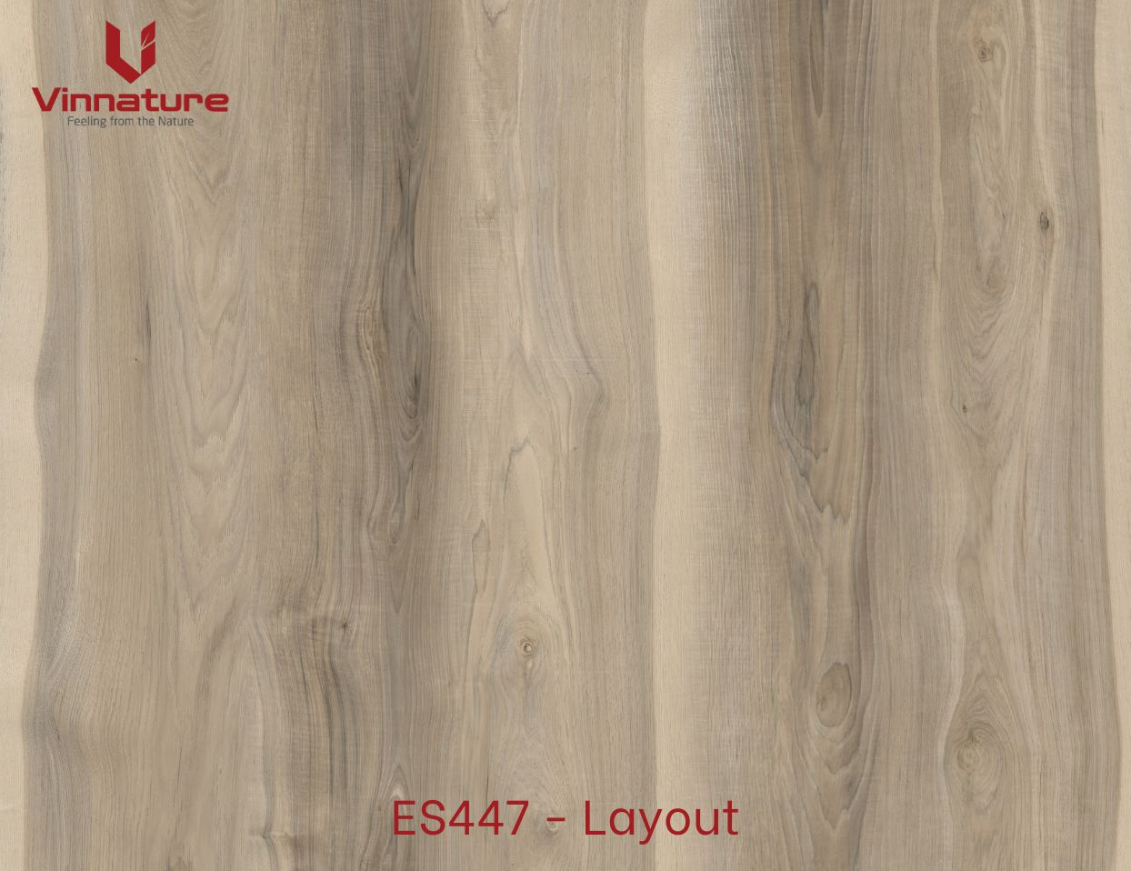 ES447-Layout