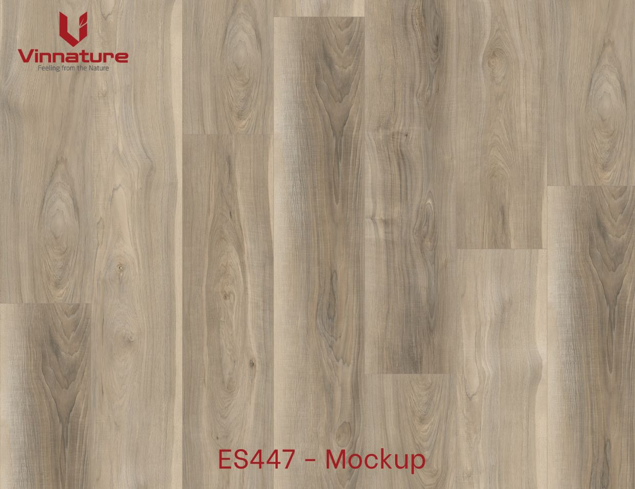 ES447-Mockup