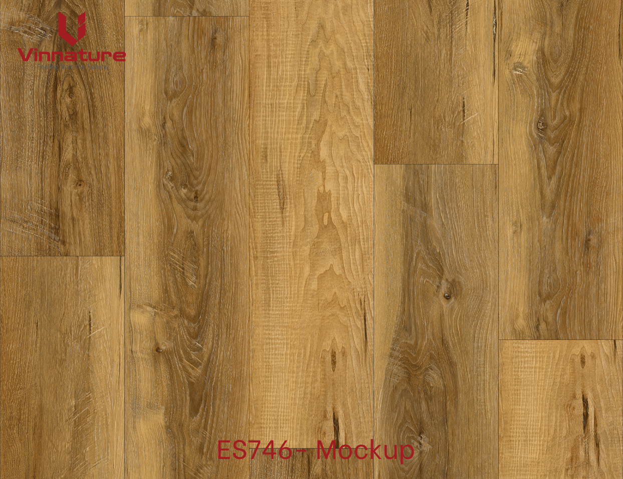ES746-Mockup