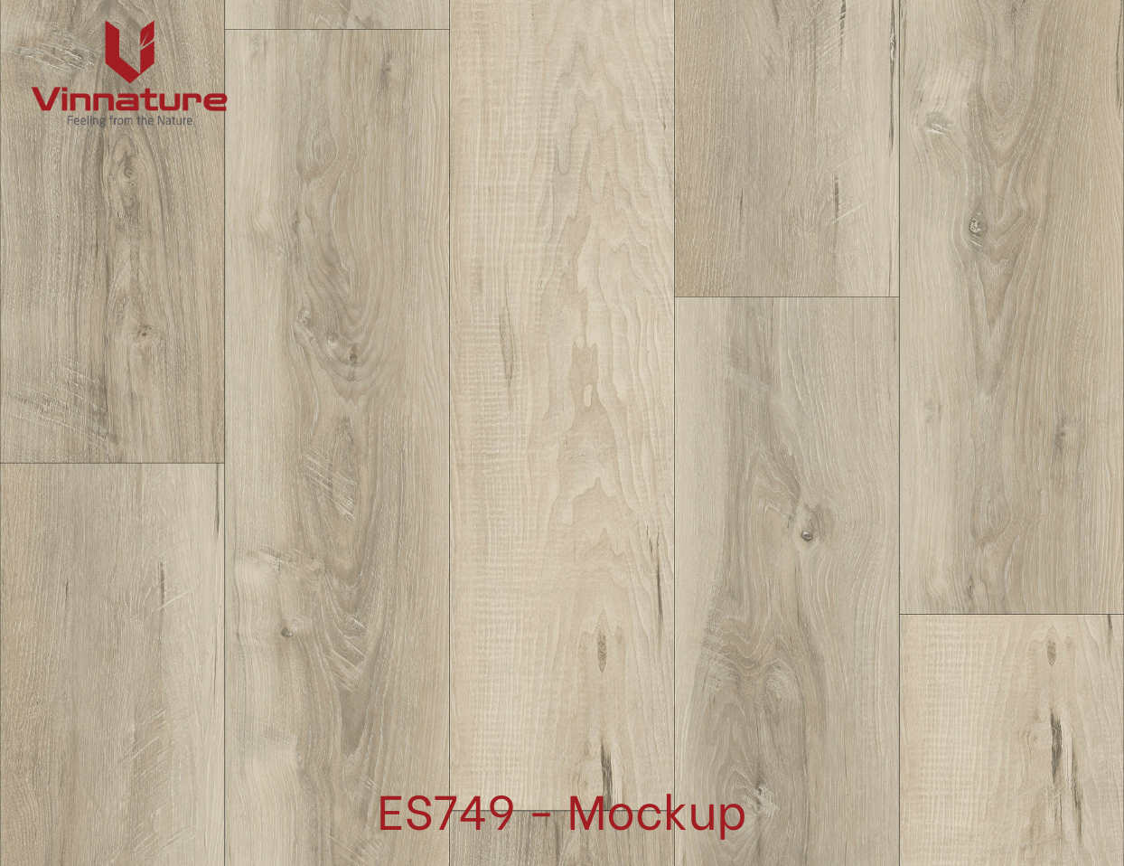 ES749-mockup